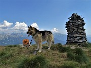 Anello con tris di cime, Avaro, Tribortoi, Ponteranica centr.,e Laghii di Ponteranica dai Piani Avaro il 1 ag.2020- FOTOGALLERY